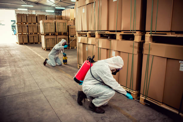 Best Emergency Pest Control  in Chrisman, IL