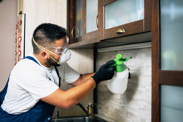 Best Best Pest Control Companies  in Chrisman, IL