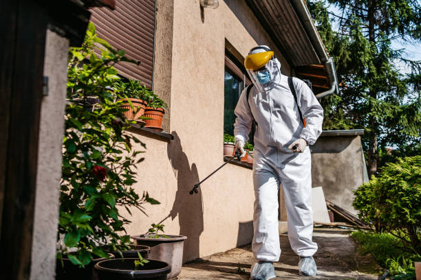 Best Best Pest Control Companies  in Chrisman, IL