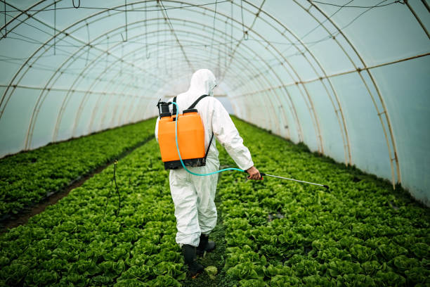 Best Ant Control Services  in Chrisman, IL