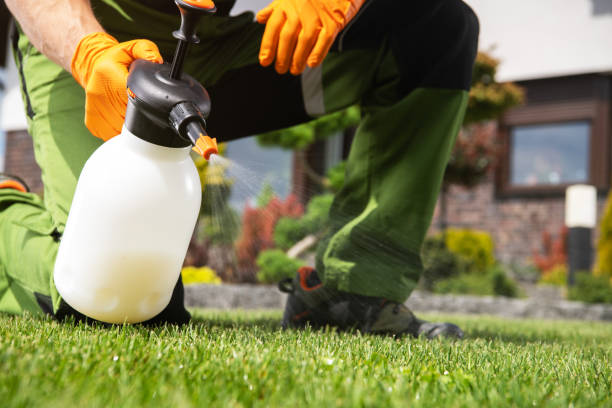 Best Flea Control Services  in Chrisman, IL