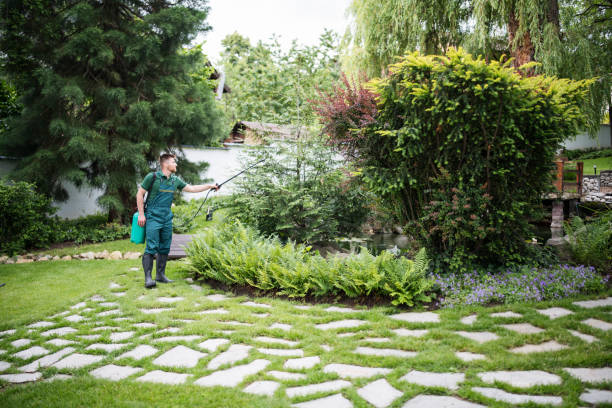 Wasp Removal Services in Chrisman, IL