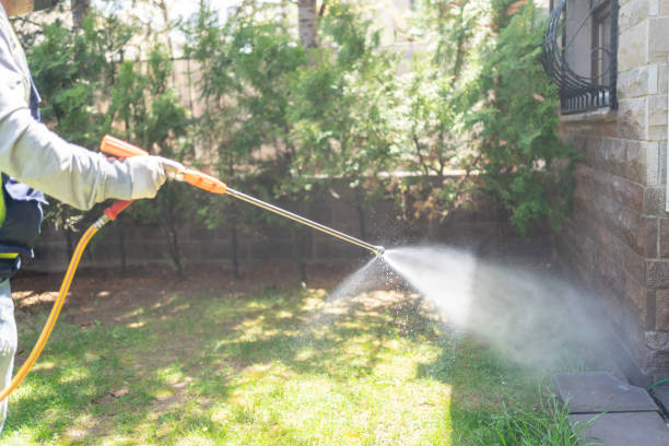 Best Rodent Control Near Me  in Chrisman, IL