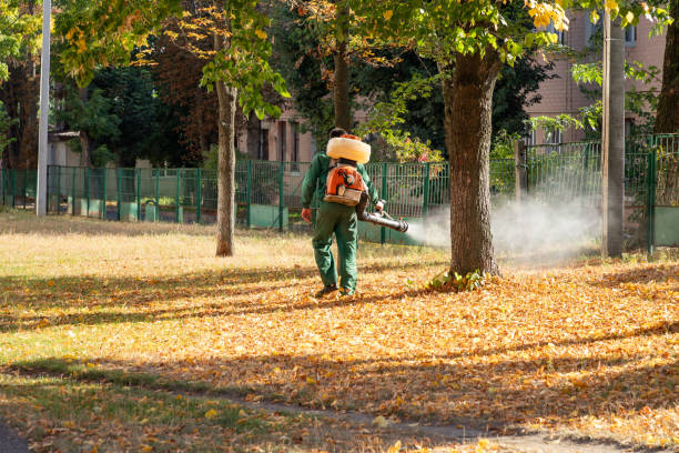 Best Local Pest Control Services  in Chrisman, IL