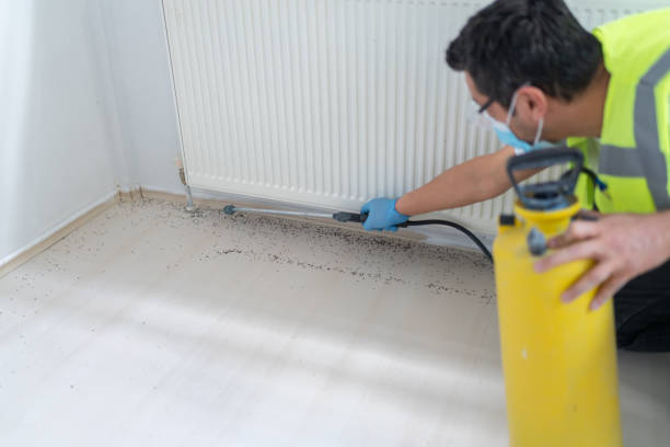 Best Cockroach Control Services  in Chrisman, IL
