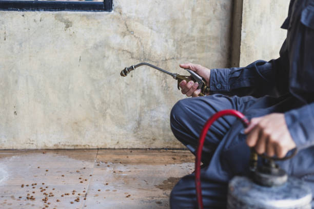 Best Affordable Pest Control Services  in Chrisman, IL